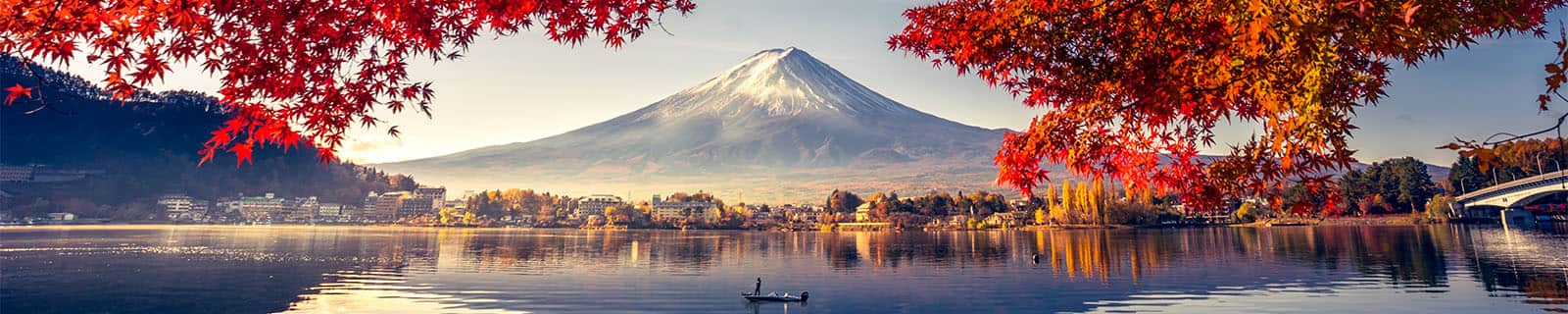 Cruisetours & Hotel Packages