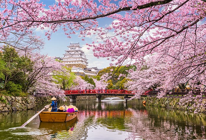 See more with an Asia cruise package on board Norwegian Cruise Line