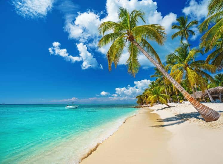 Caribbean Cruise and Hotel Package