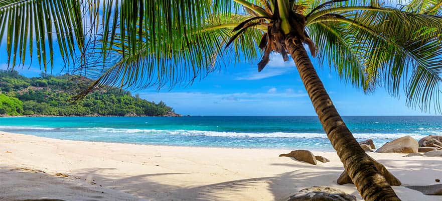 7-Day Caribbean Round-trip Galveston: Harvest Caye, Cozumel & Roatan