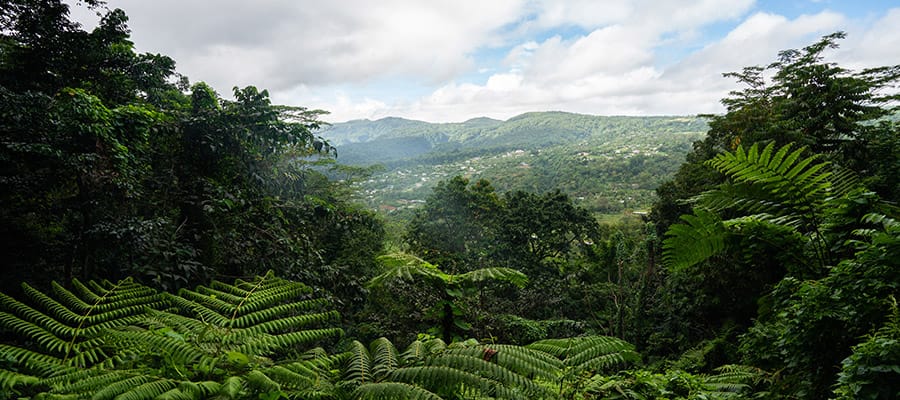 Apia, Samoa Islands, South Pacific Cruises