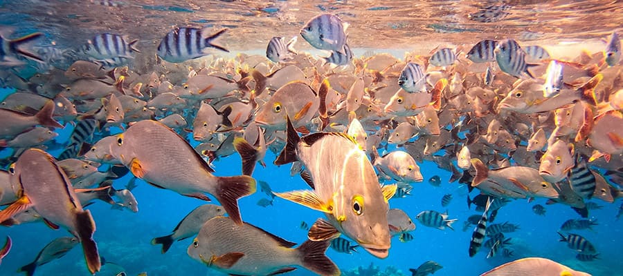 Rangiroa, French Polynesia