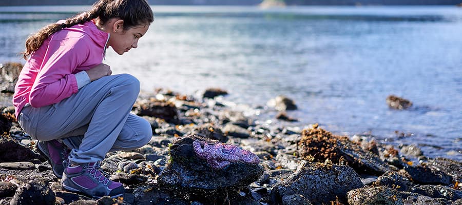 Discover where the wild things are in Alaska