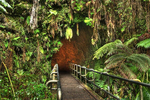 Entrance to Thurston Lava Tube Entrance to Thurston Lava Tube