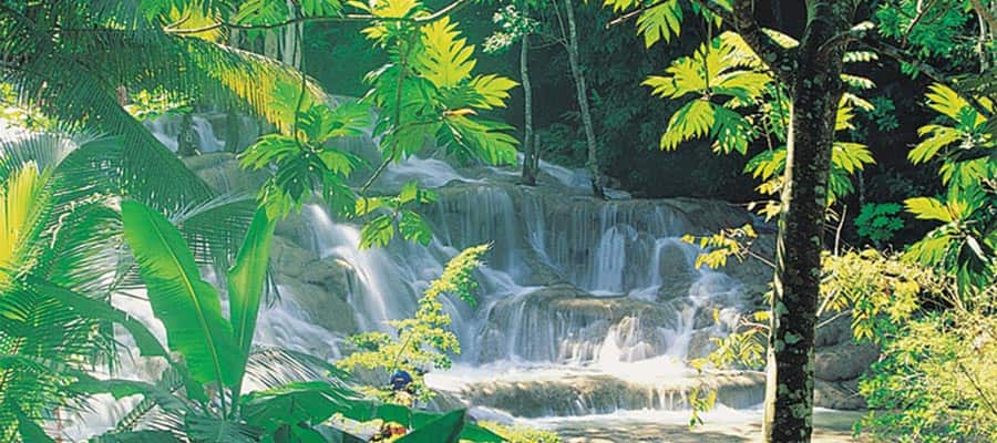Cruise to Dunns River in Ocho Rios
