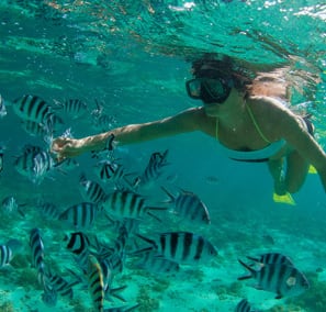 Caribbean Cruises From Miami | Cruises & Cruise Deals