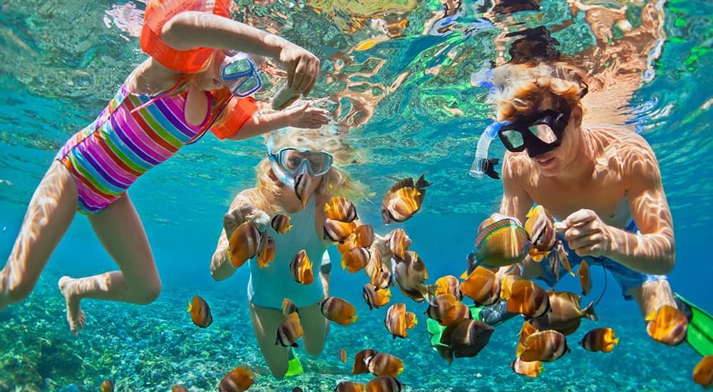 Hawaii Cruise family activities Hawaii Cruise family activities