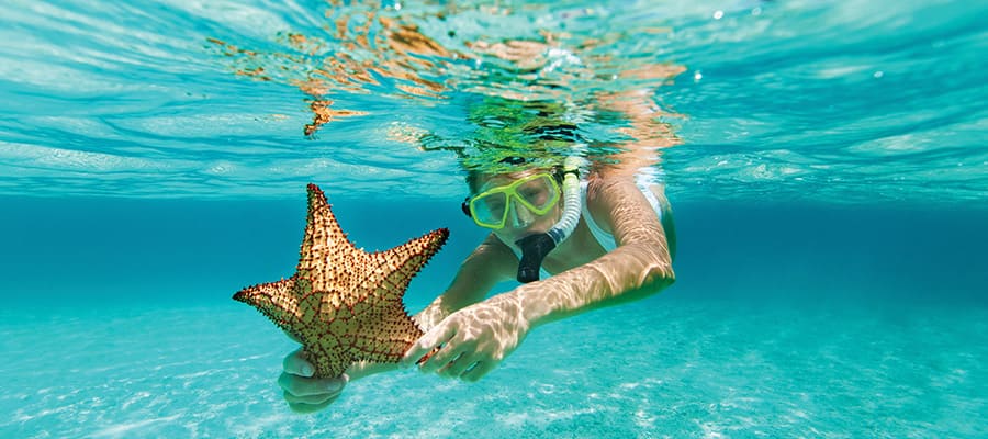 Caribbean Cruises